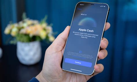 venmo cash users sue apple over|Apple Faces Lawsuit Over Apple Cash From Venmo,。